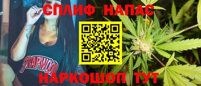 гидра Лесосибирск