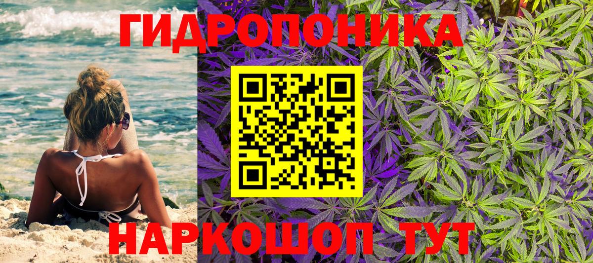 Удомля  Шишки марихуана сатива  Вход с VPN  Канабис индика 